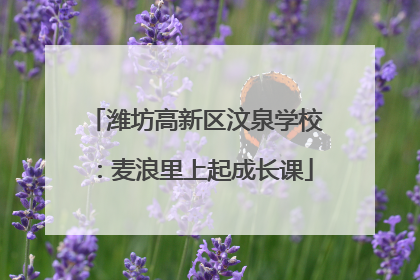潍坊高新区汶泉学校：麦浪里上起成长课