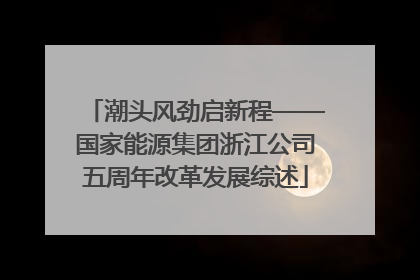 潮头风劲启新程——国家能源集团浙江公司五周年改革发展综述