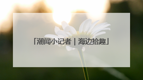 潮闻小记者｜海边拾趣
