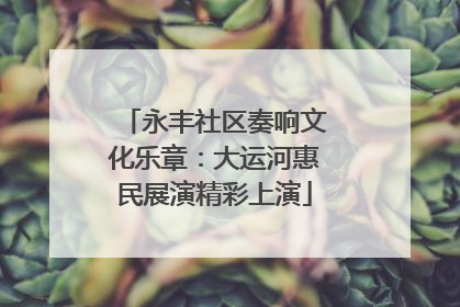 永丰社区奏响文化乐章：大运河惠民展演精彩上演