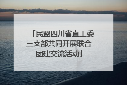 民盟四川省直工委三支部共同开展联合团建交流活动