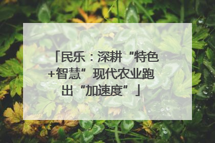 民乐：深耕“特色+智慧”现代农业跑出“加速度”