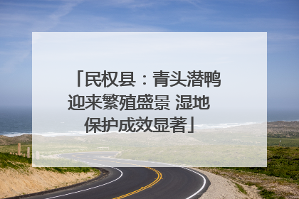 民权县：青头潜鸭迎来繁殖盛景 湿地保护成效显著