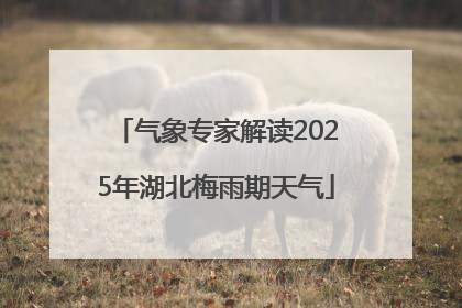 气象专家解读2025年湖北梅雨期天气