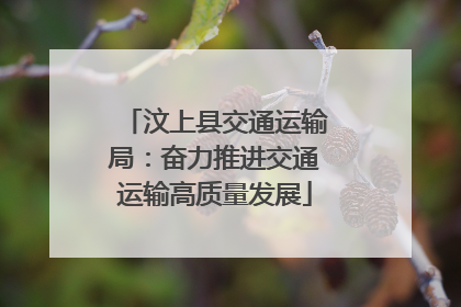 汶上县交通运输局：奋力推进交通运输高质量发展