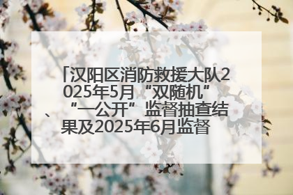 汉阳区消防救援大队2025年5月“双随机”、“一公开”监督抽查结果及2025年6月监督抽查任务公示