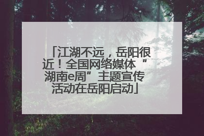 江湖不远，岳阳很近！全国网络媒体“湖南e周”主题宣传活动在岳阳启动