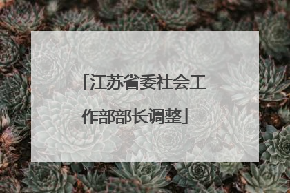 江苏省委社会工作部部长调整