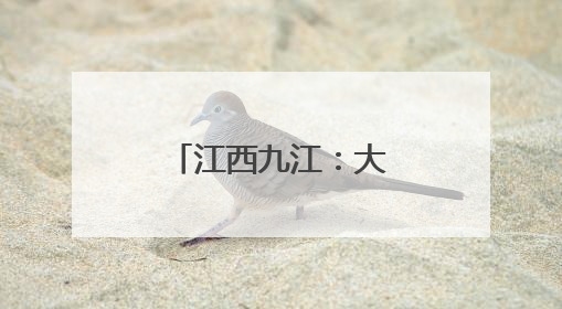 江西九江：大棚西瓜抢“鲜”上市 开启夏日“甜蜜模式”
