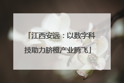 江西安远：以数字科技助力脐橙产业腾飞