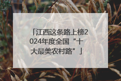 江西这条路上榜2024年度全国“十大最美农村路”