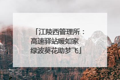 江陵西管理所：高速驿站暖如家 绿波葵花助梦飞