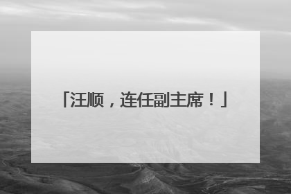 汪顺，连任副主席！