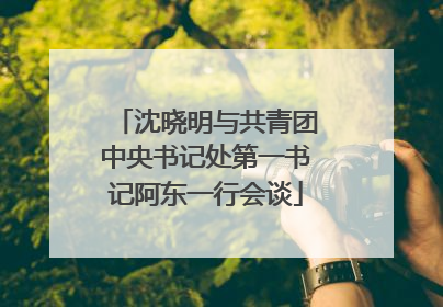 沈晓明与共青团中央书记处第一书记阿东一行会谈