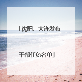 沈阳、大连发布干部任免名单