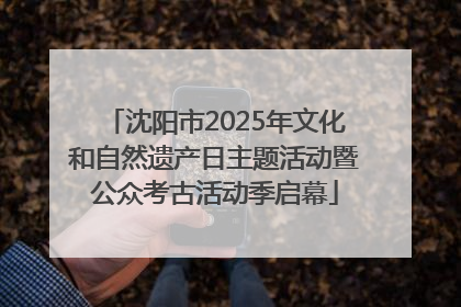 沈阳市2025年文化和自然遗产日主题活动暨公众考古活动季启幕
