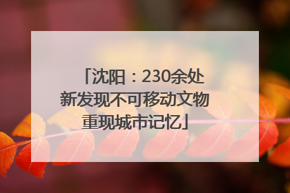 沈阳：230余处新发现不可移动文物重现城市记忆