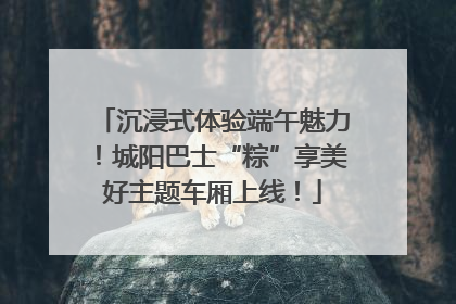 沉浸式体验端午魅力！城阳巴士“粽”享美好主题车厢上线！