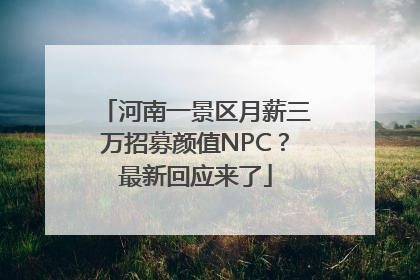 河南一景区月薪三万招募颜值NPC？最新回应来了