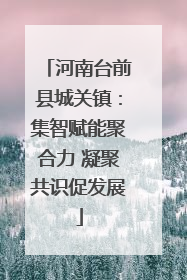 河南台前县城关镇：集智赋能聚合力 凝聚共识促发展