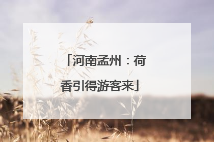河南孟州：荷香引得游客来