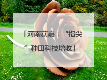 河南获嘉：“指尖”种田科技增收