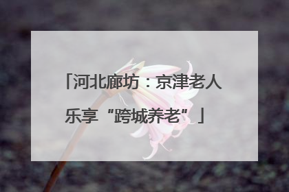 河北廊坊：京津老人乐享“跨城养老”