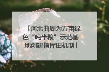 河北曲周为万亩绿色“吨半粮”示范基地创建指挥田机制