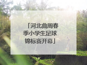 河北曲周春季小学生足球锦标赛开幕