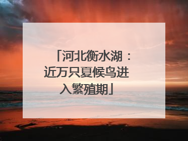 河北衡水湖：近万只夏候鸟进入繁殖期