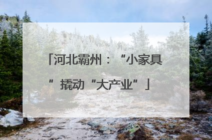 河北霸州：“小家具”撬动“大产业”