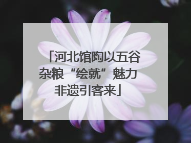 河北馆陶以五谷杂粮“绘就”魅力非遗引客来