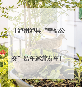 泸州泸县“幸福公交”婚车巡游发车