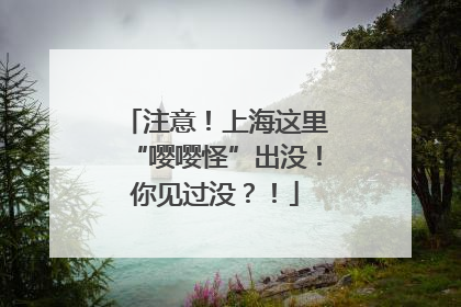 注意！上海这里“嘤嘤怪”出没！你见过没？！