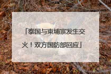 泰国与柬埔寨发生交火！双方国防部回应