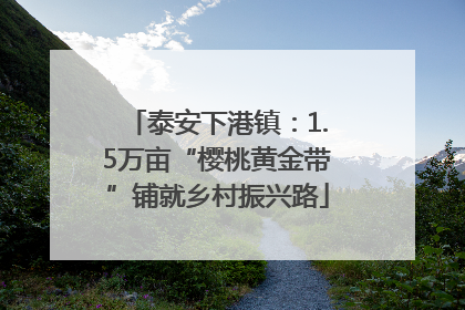 泰安下港镇：1.5万亩“樱桃黄金带”铺就乡村振兴路