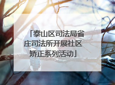 泰山区司法局省庄司法所开展社区矫正系列活动
