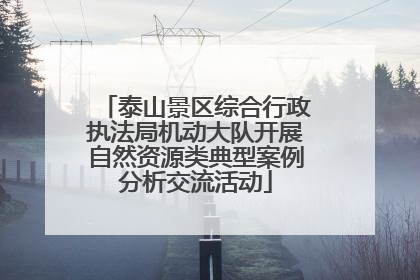 泰山景区综合行政执法局机动大队开展自然资源类典型案例分析交流活动