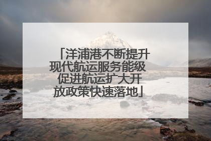 洋浦港不断提升现代航运服务能级 促进航运扩大开放政策快速落地