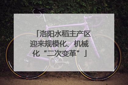 洛阳水稻主产区迎来规模化、机械化“二次变革”