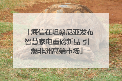 海信在坦桑尼亚发布智慧家电重磅新品 引爆非洲高端市场