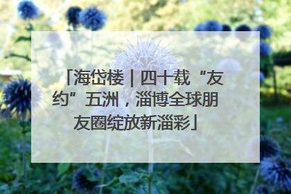 海岱楼｜四十载“友约”五洲，淄博全球朋友圈绽放新淄彩