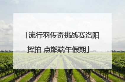 流行羽传奇挑战赛洛阳挥拍 点燃端午假期