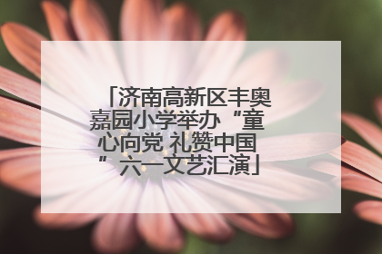 济南高新区丰奥嘉园小学举办“童心向党 礼赞中国”六一文艺汇演
