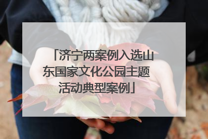 济宁两案例入选山东国家文化公园主题活动典型案例