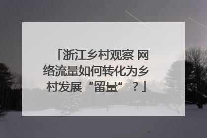 浙江乡村观察 网络流量如何转化为乡村发展“留量”？
