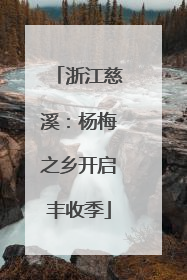 浙江慈溪：杨梅之乡开启丰收季