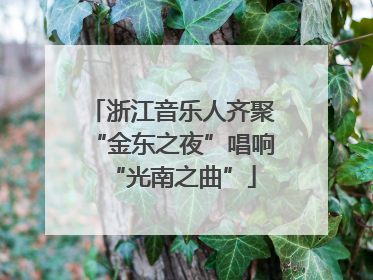 浙江音乐人齐聚“金东之夜”唱响“光南之曲”