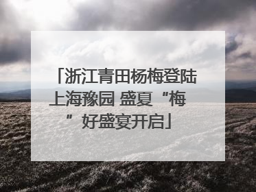 浙江青田杨梅登陆上海豫园 盛夏“梅”好盛宴开启