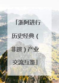 浙阿进行历史经典（非遗）产业交流互鉴
